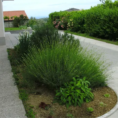 Relax Sea View Laguna 97 * Izola